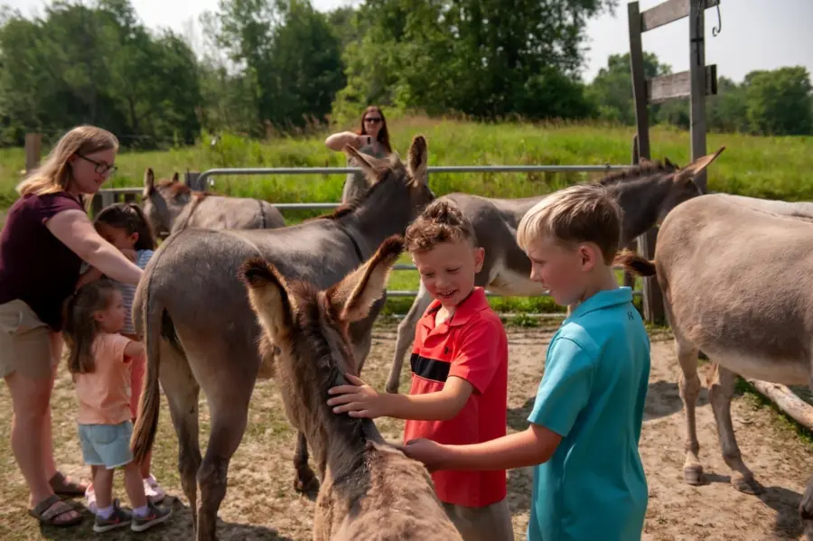 South Eastern Ontario Launches "Farm to Flavours" Campaign Celebrating Local Food, Farms and Rural Experiences