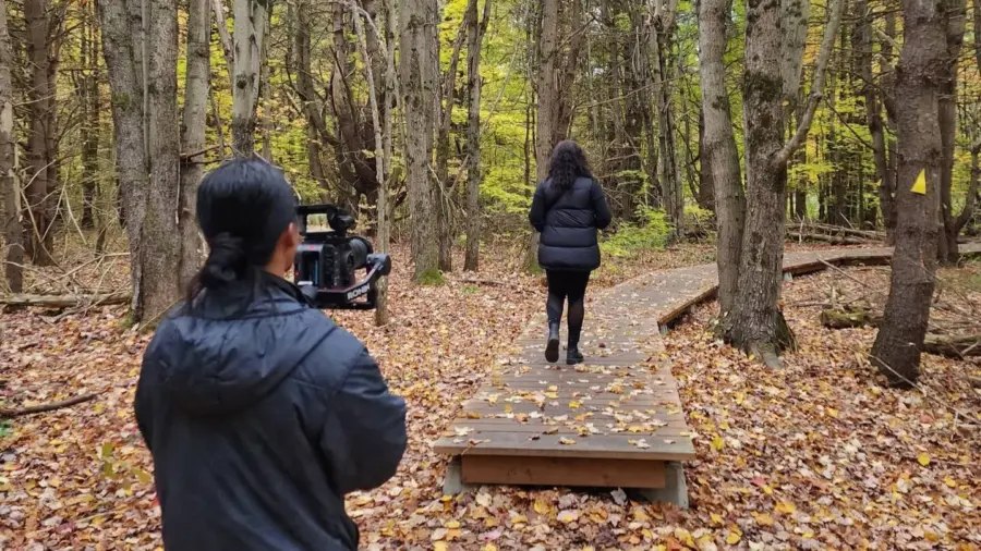 FAM et médias de voyage