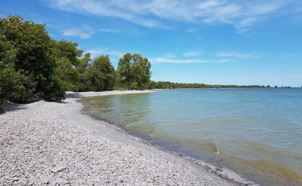Monarch Point Conservation Reserve